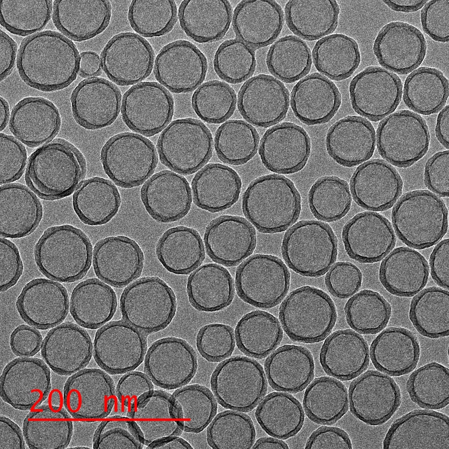 H100R-AC TEM 이미지