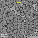 중공실리카 50nm TEM 이미지
