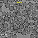 중공실리카 60nm TEM 이미지