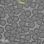 중공실리카 70nm TEM 이미지