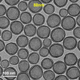 중공실리카 80nm TEM 이미지